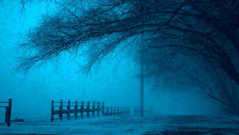 blue fear