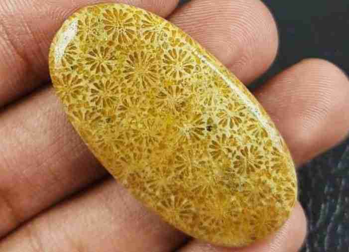 Cabochon Coral Crystal