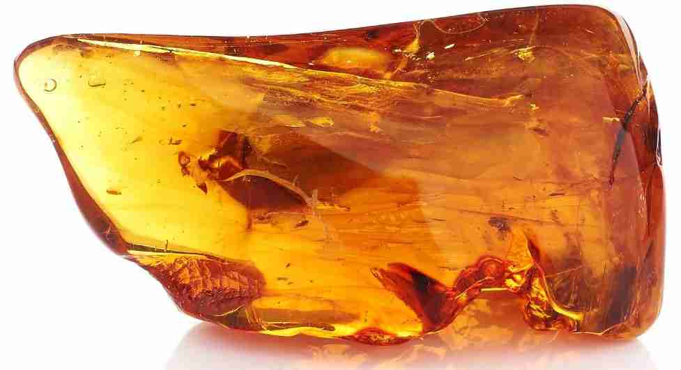 Effects of Amber