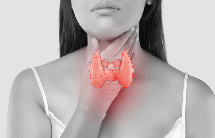 throat chakra thyroid