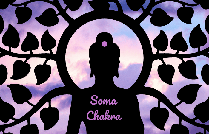 soma chakra