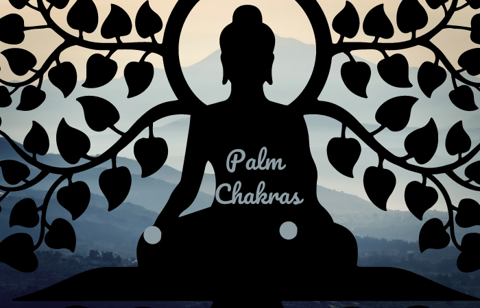 Palm Chakras