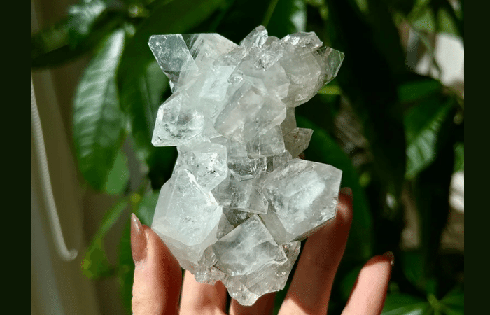 Apophyllite crystal for nervous system