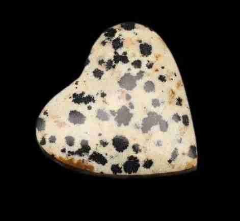 Dalmatian Jasper