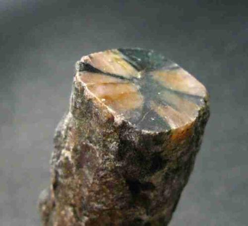 Chiastolite
