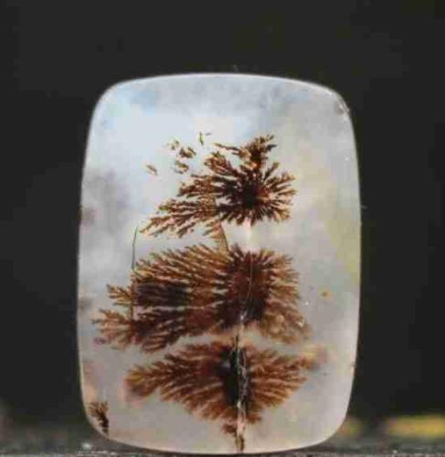 Dendritic Agate